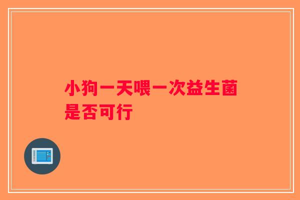 小狗一天喂一次益生菌是否可行