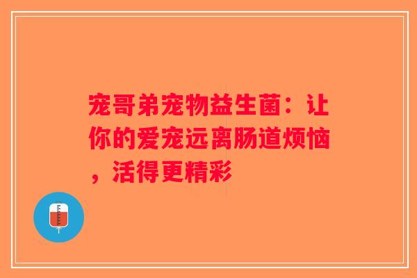 宠哥弟宠物益生菌：让你的爱宠远离肠道烦恼，活得更精彩