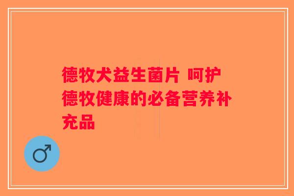 德牧犬益生菌片 呵护德牧健康的必备营养补充品