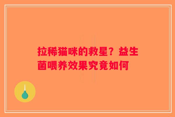 拉稀猫咪的救星？益生菌喂养效果究竟如何
