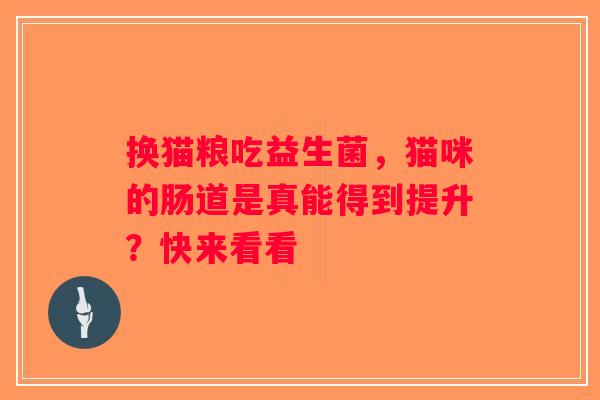 换猫粮吃益生菌，猫咪的肠道是真能得到提升？快来看看