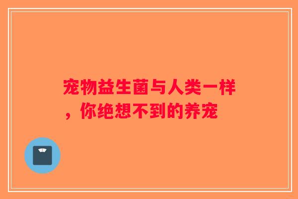 宠物益生菌与人类一样，你绝想不到的养宠