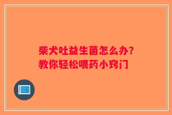 柴犬吐益生菌怎么办？教你轻松喂药小窍门