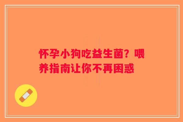 怀孕小狗吃益生菌？喂养指南让你不再困惑