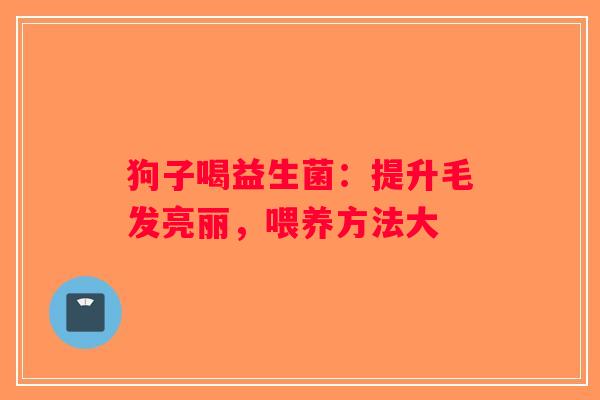 狗子喝益生菌：提升毛发亮丽，喂养方法大
