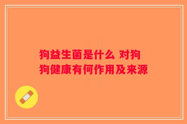 狗益生菌是什么 对狗狗健康有何作用及来源