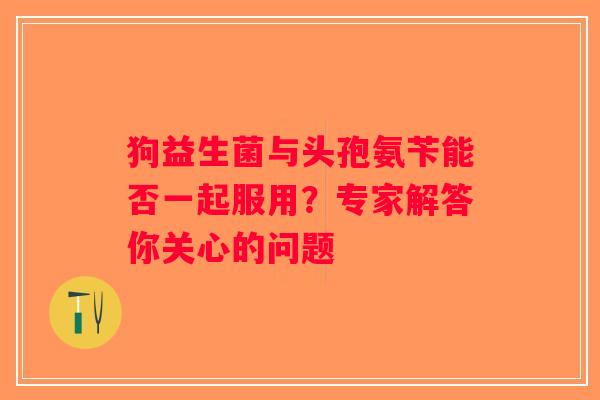 狗益生菌与头孢氨苄能否一起服用？专家解答你关心的问题