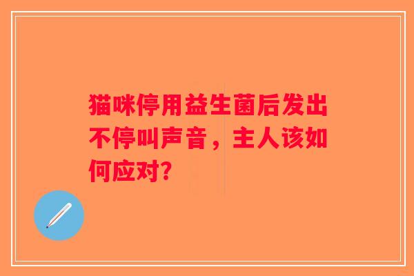 猫咪停用益生菌后发出不停叫声音，主人该如何应对？
