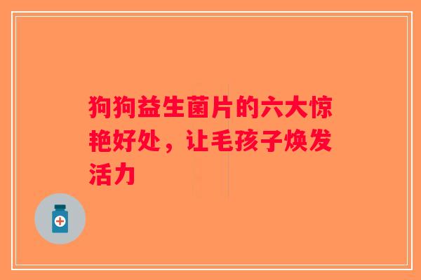 狗狗益生菌片的六大惊艳好处，让毛孩子焕发活力