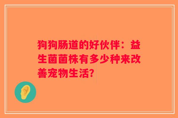 狗狗肠道的好伙伴：益生菌菌株有多少种来改善宠物生活？