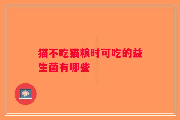 猫不吃猫粮时可吃的益生菌有哪些