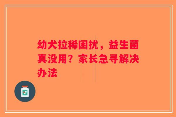 幼犬拉稀困扰，益生菌真没用？家长急寻解决办法