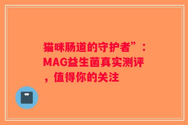 猫咪肠道的守护者”：MAG益生菌真实测评，值得你的关注
