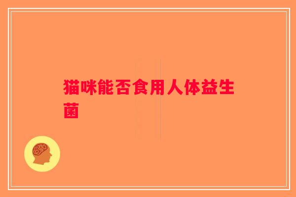 猫咪能否食用人体益生菌