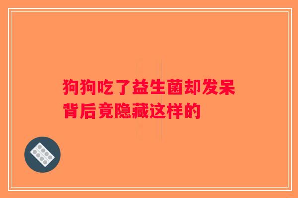 狗狗吃了益生菌却发呆背后竟隐藏这样的