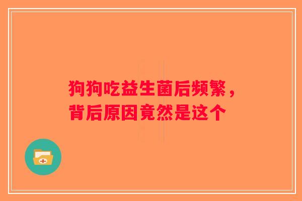 狗狗吃益生菌后频繁，背后原因竟然是这个