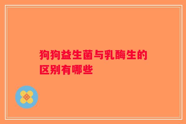 狗狗益生菌与乳酶生的区别有哪些